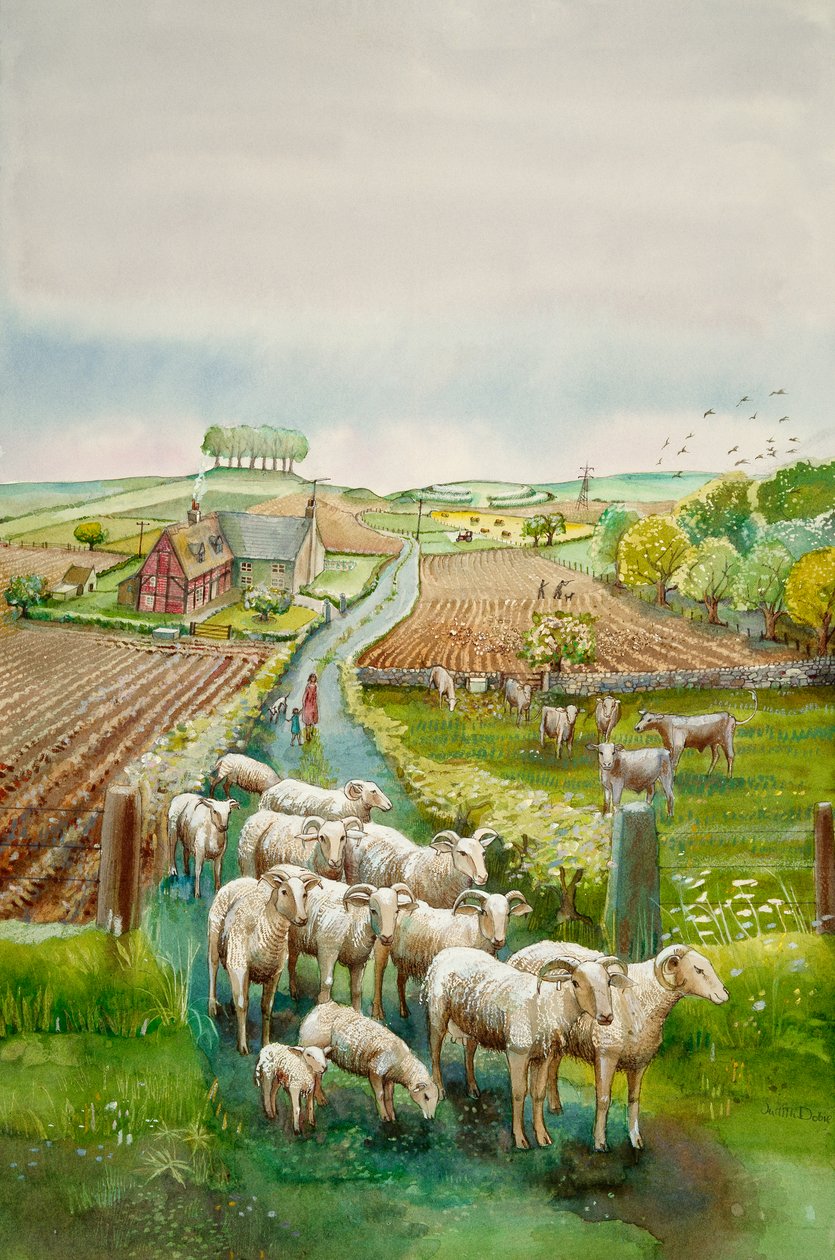 Landlig landskap, c2010 av Judith Dobie