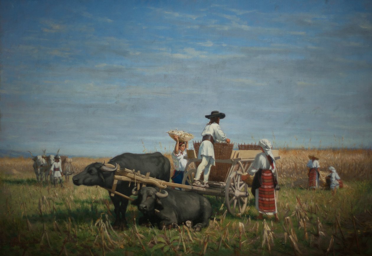 Maishøst i Transylvania av Jules Jacques Jacot Guillarmod