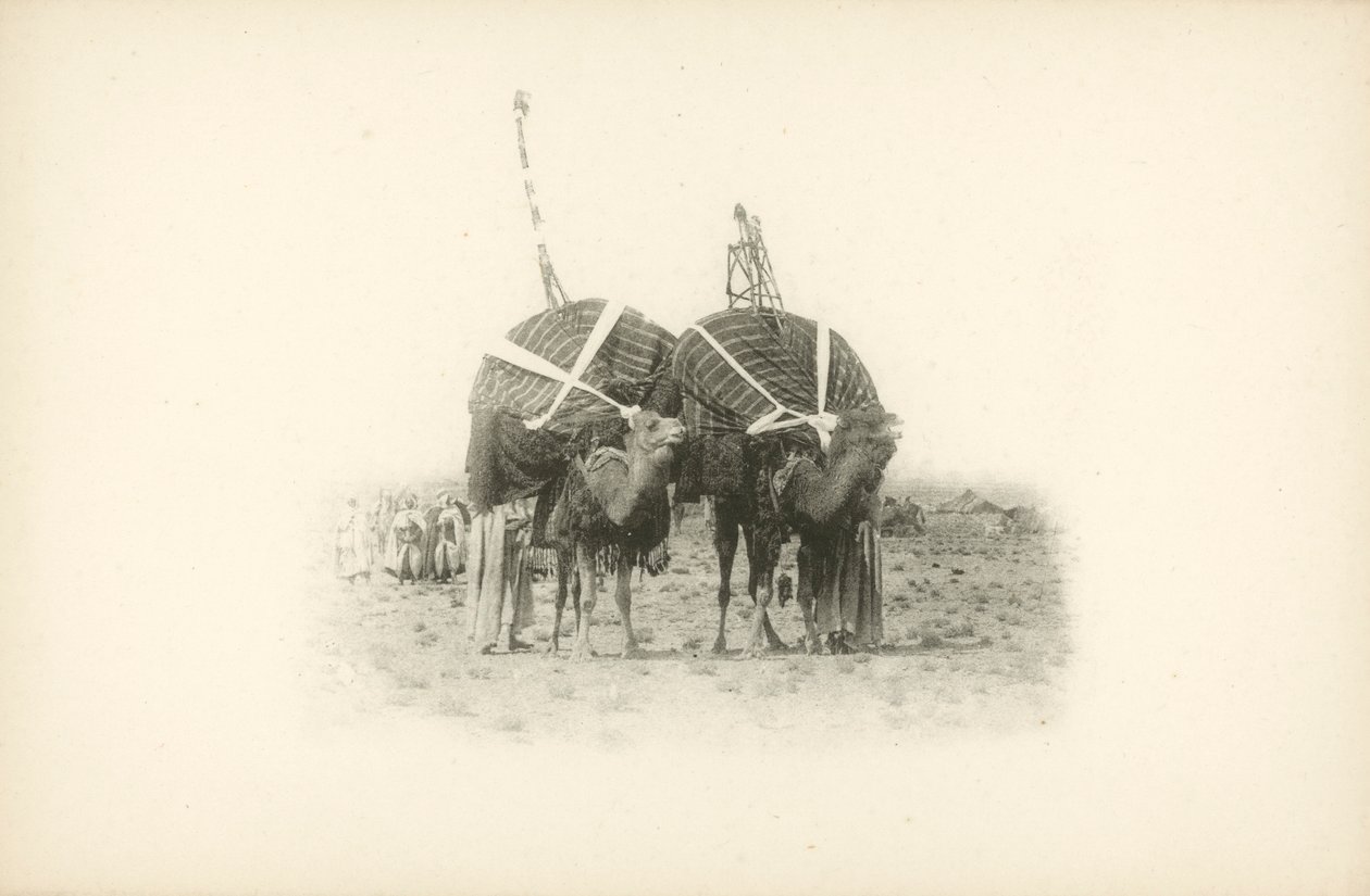 Et av Jules Gervais-Courtellemonts utsikter over Algerie (s/h-bilde) av Jules (after) Gervais-Courtellemont