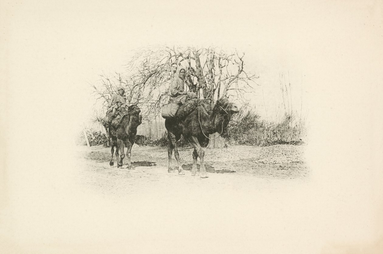 Et av Jules Gervais-Courtellemonts utsikter over Algerie (s/h-bilde) av Jules (after) Gervais-Courtellemont