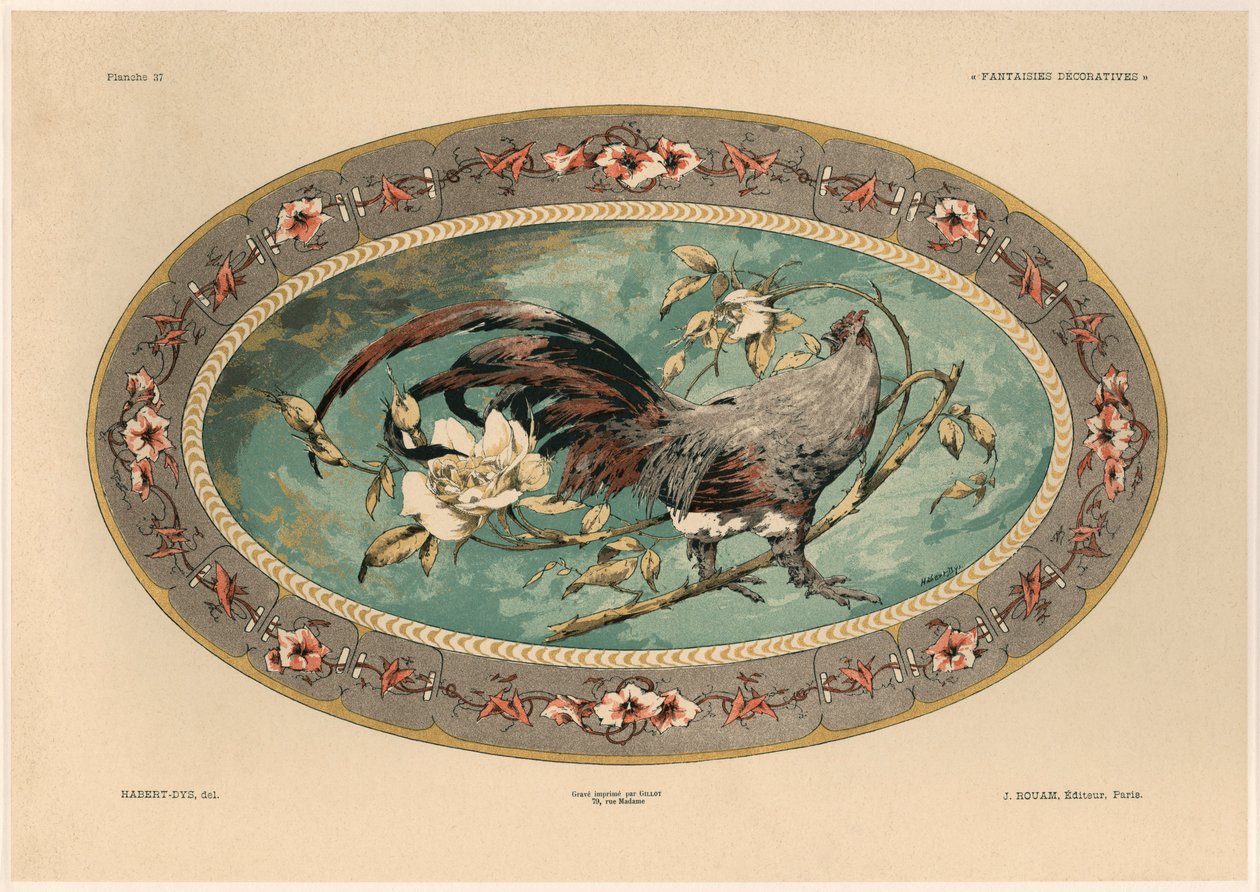 Hane, plate 37 fra 
