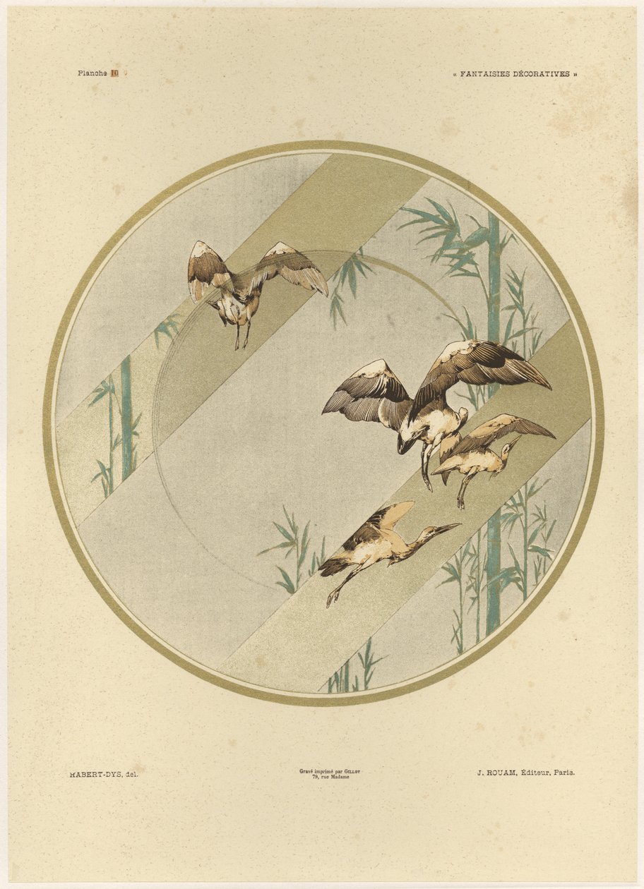 Storker, plate 10 fra 