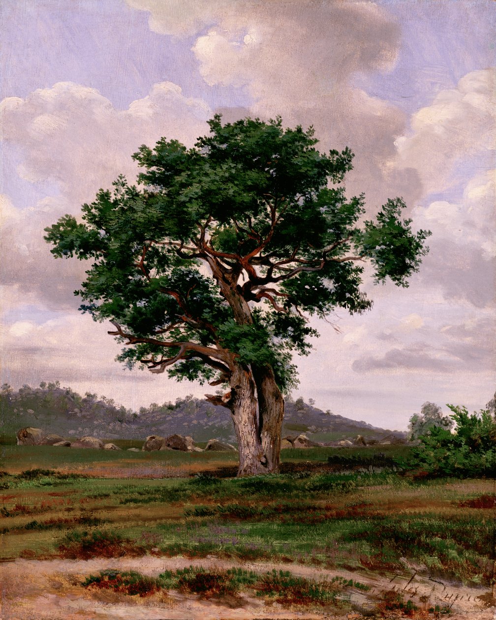The Rager (het i temperament) av Jules Dupré
