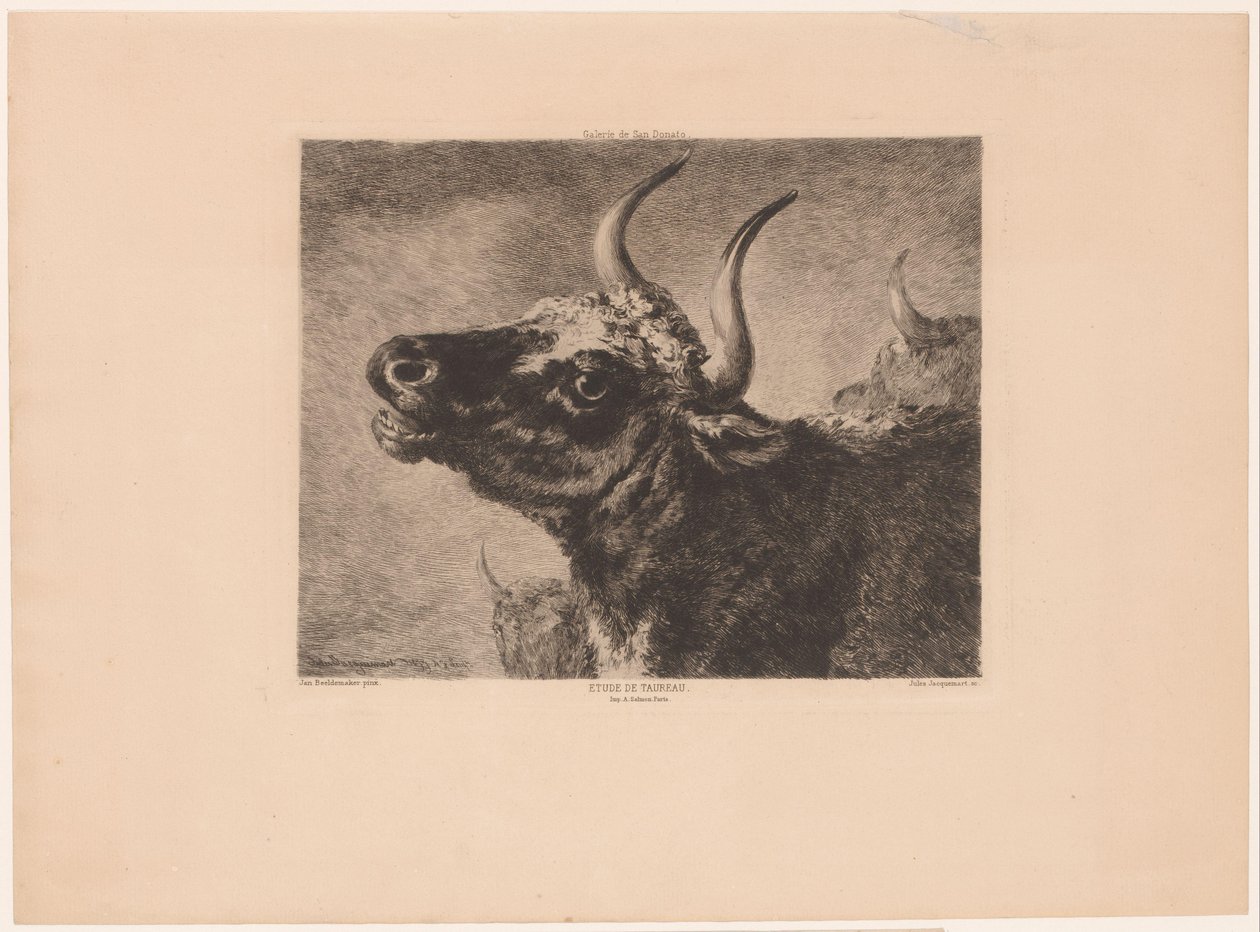 Hodet til en okse Etude de taureau. (tittel på objekt) av Jules Ferdinand Jacquemart
