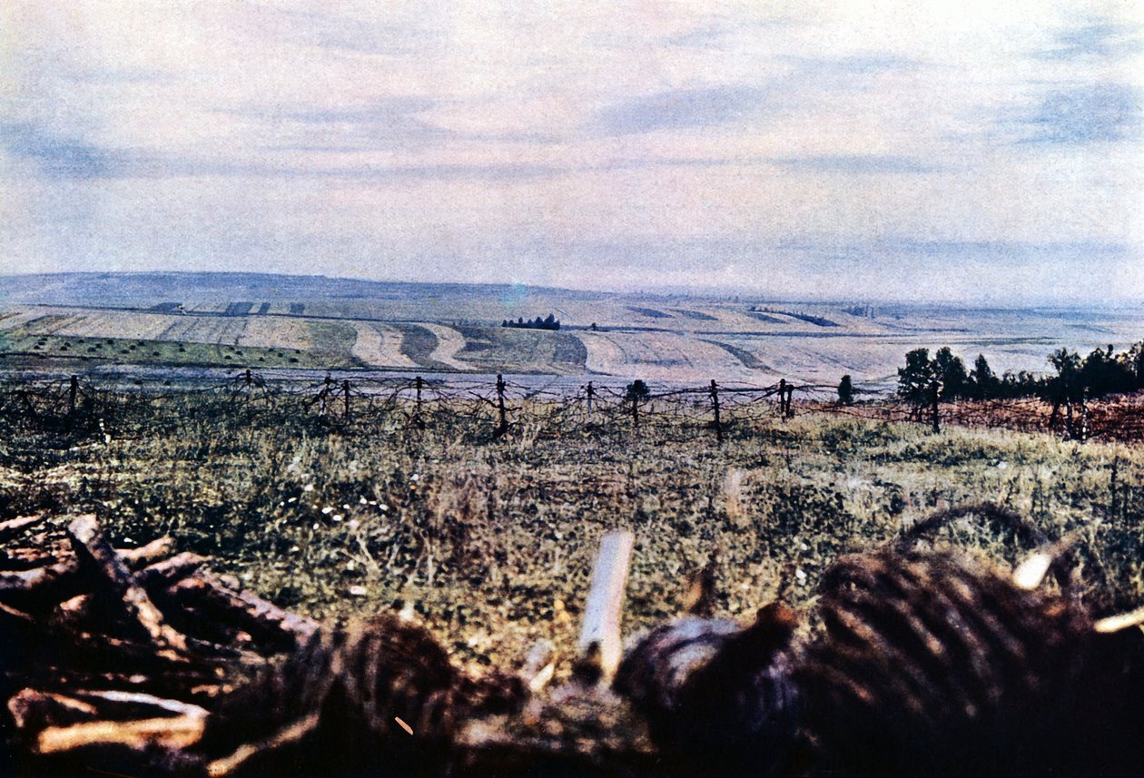 Hill 304 med piggtråd nær Verdun, september 1916 (autokrom) av Jules Gervais Courtellemont
