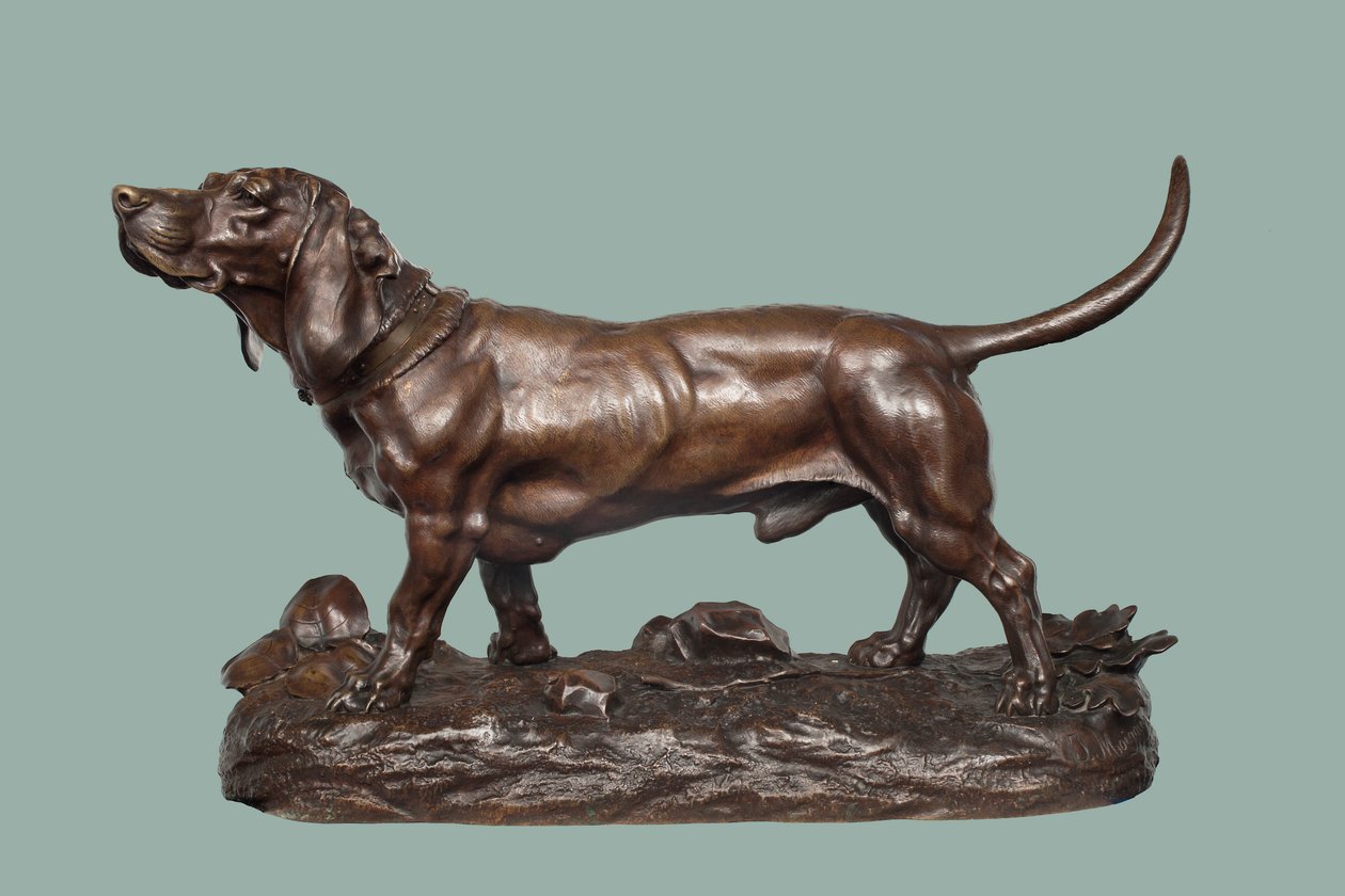 En Basset Hound (bronse med brun patina) av Jules Pierre Moigniez