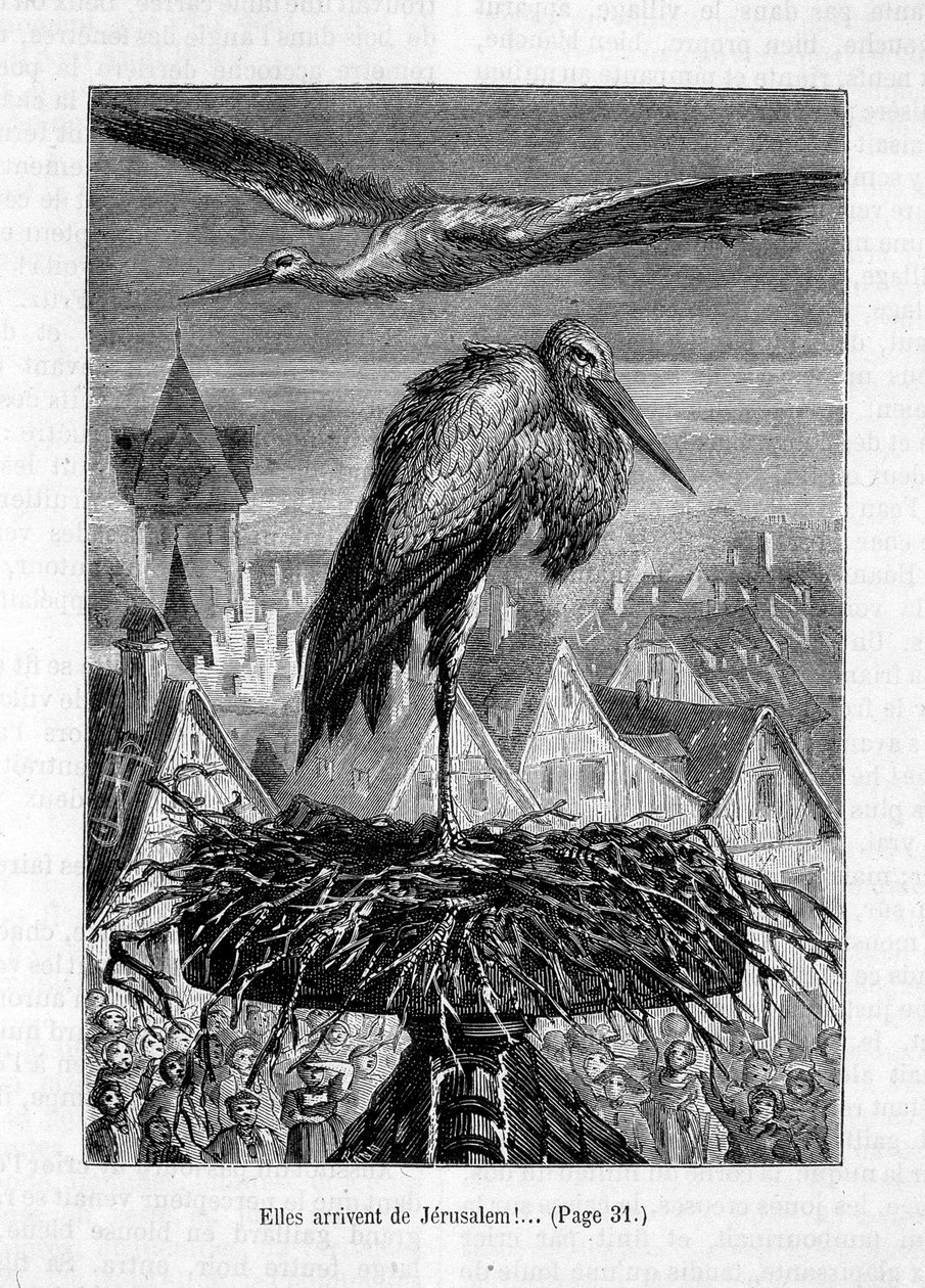 Storker på et tak- i "" Vennen Fritz"", av Erckmann-Chatrian, ill. av Théophile Schuler av Jules Theophile (after) Schuler