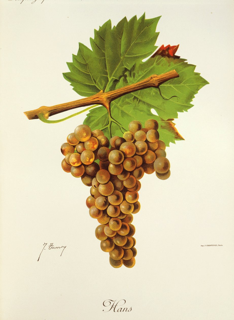 Hans drue av J. Troncy av Jules Troncy