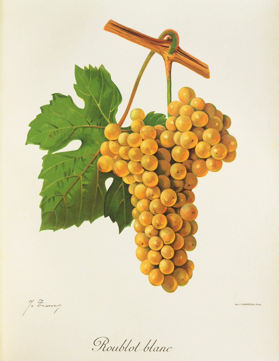 Roublot Blanc-drue av J. Troncy av Jules Troncy