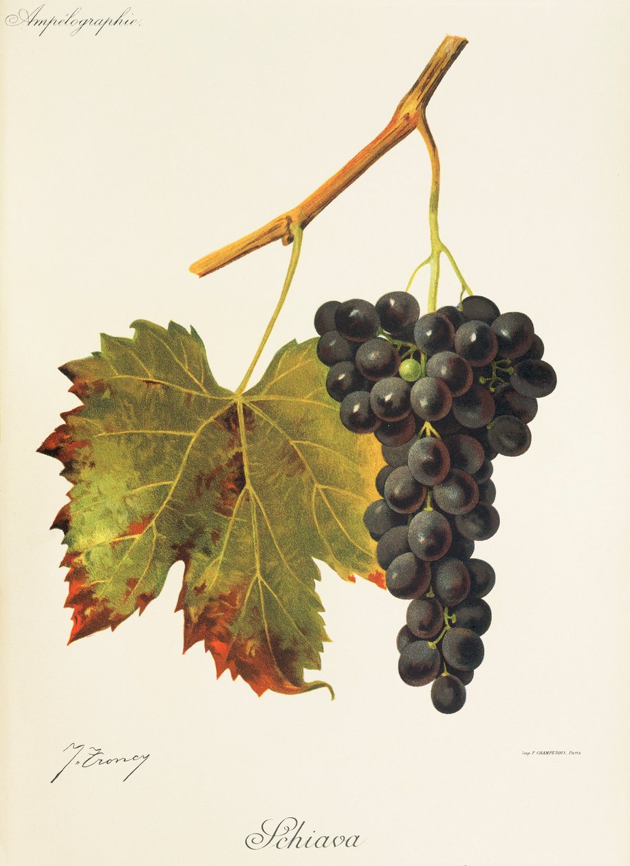 Drueslave av J. Troncy av Jules Troncy