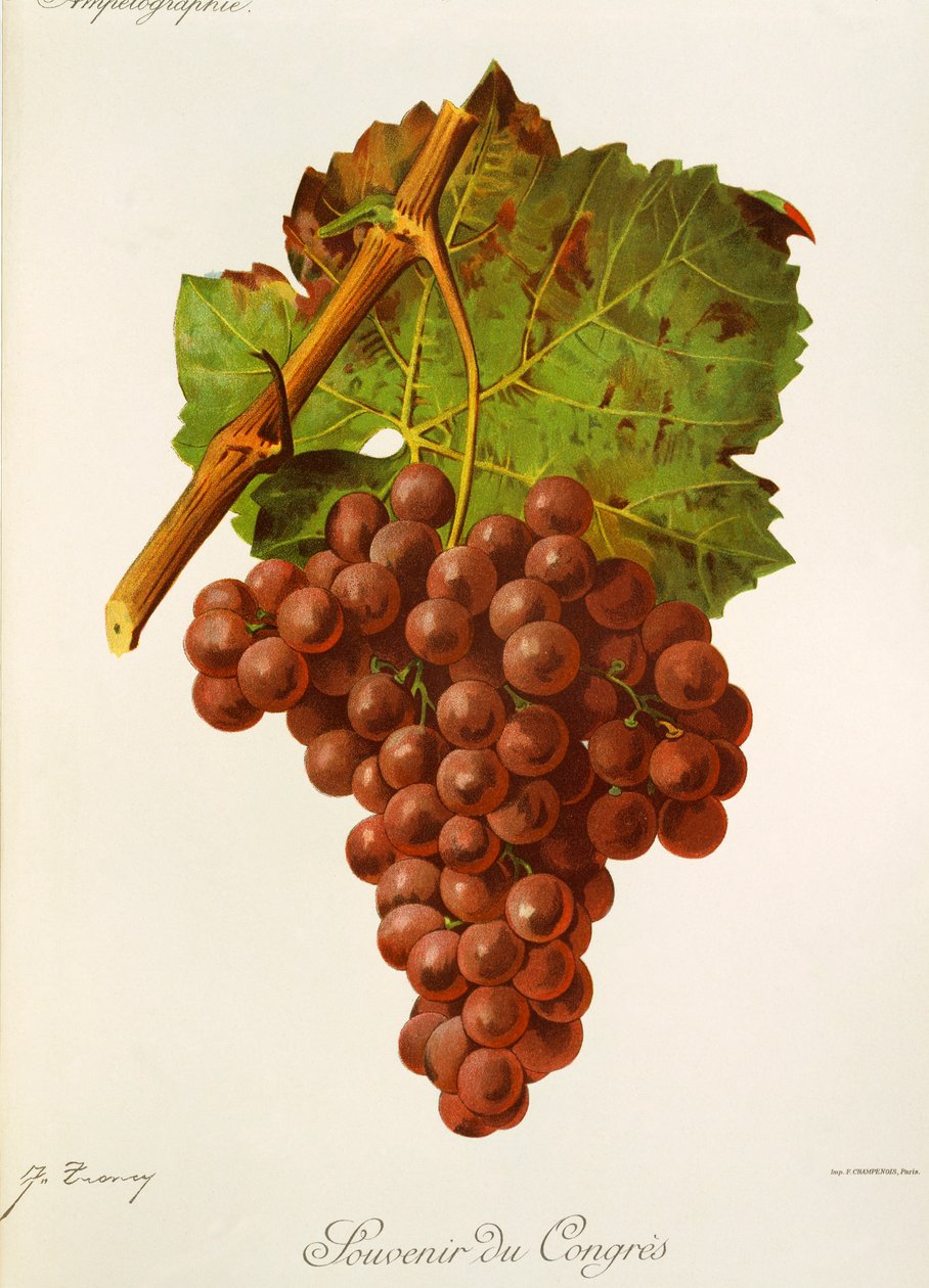Souvenir of Congress drue av J. Troncy av Jules Troncy