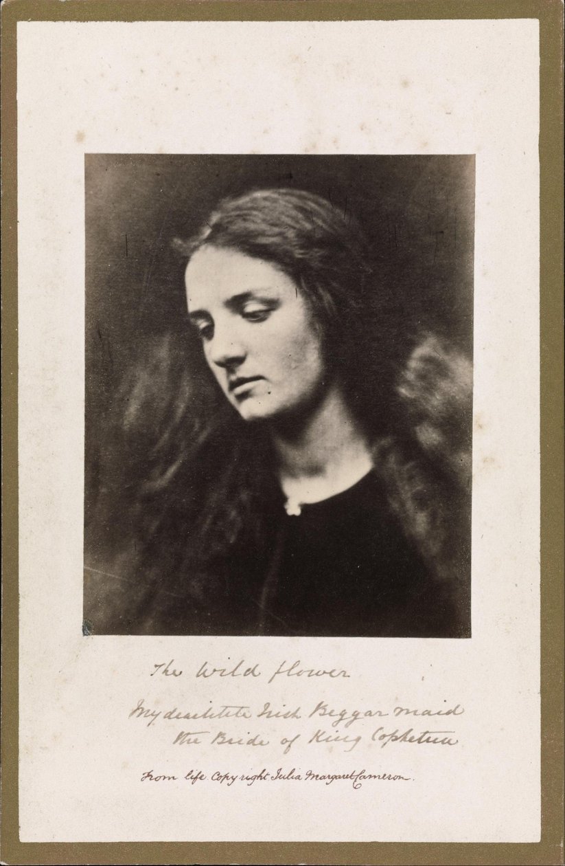 Den ville blomsten av Julia Margaret Cameron