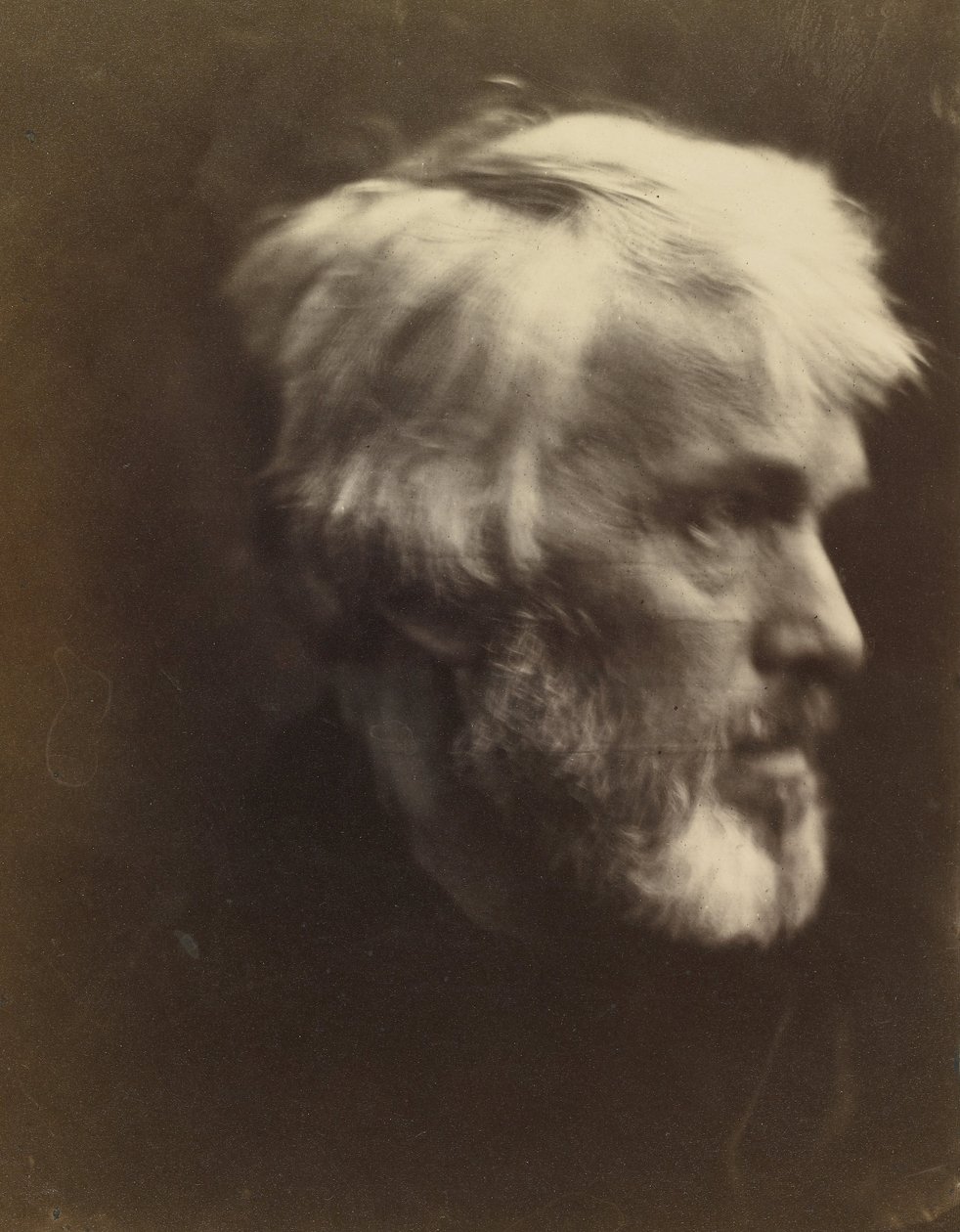 Thomas Carlyle (1795 av Julia Margaret Cameron