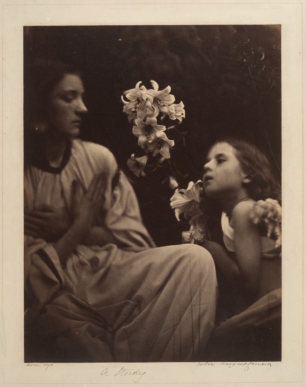 En studie av Julia Margaret Cameron