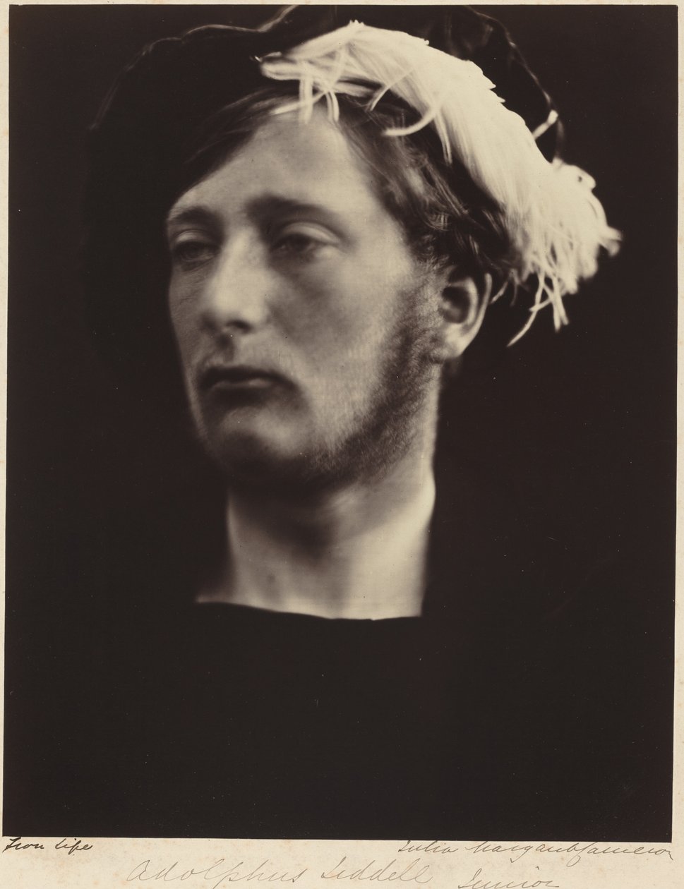 Adolphus Liddell, junior av Julia Margaret Cameron