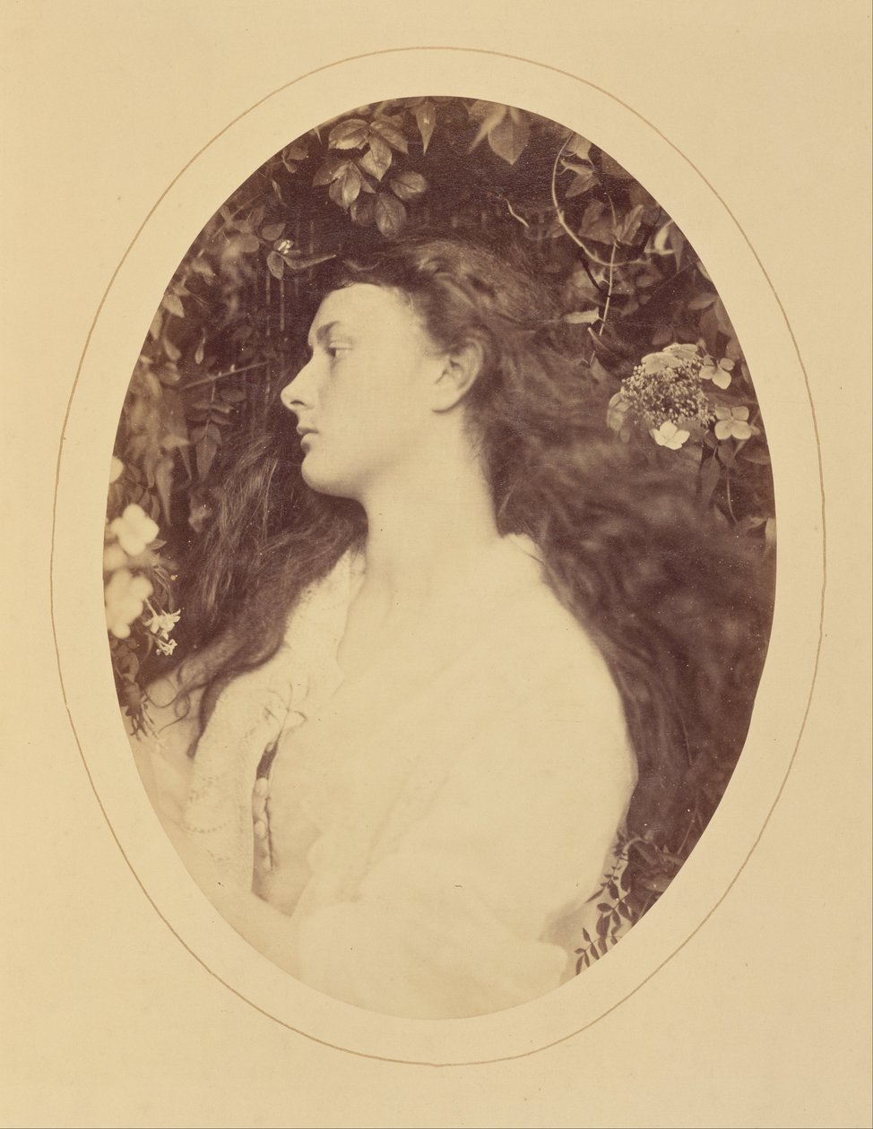  av Julia Margaret Cameron