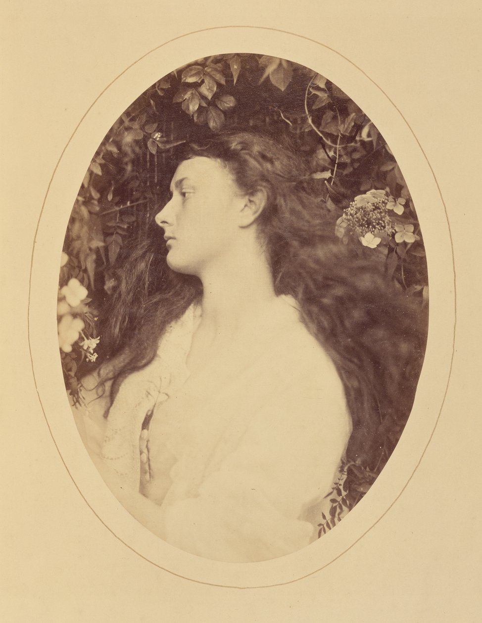 [Alethea] av Julia Margaret Cameron