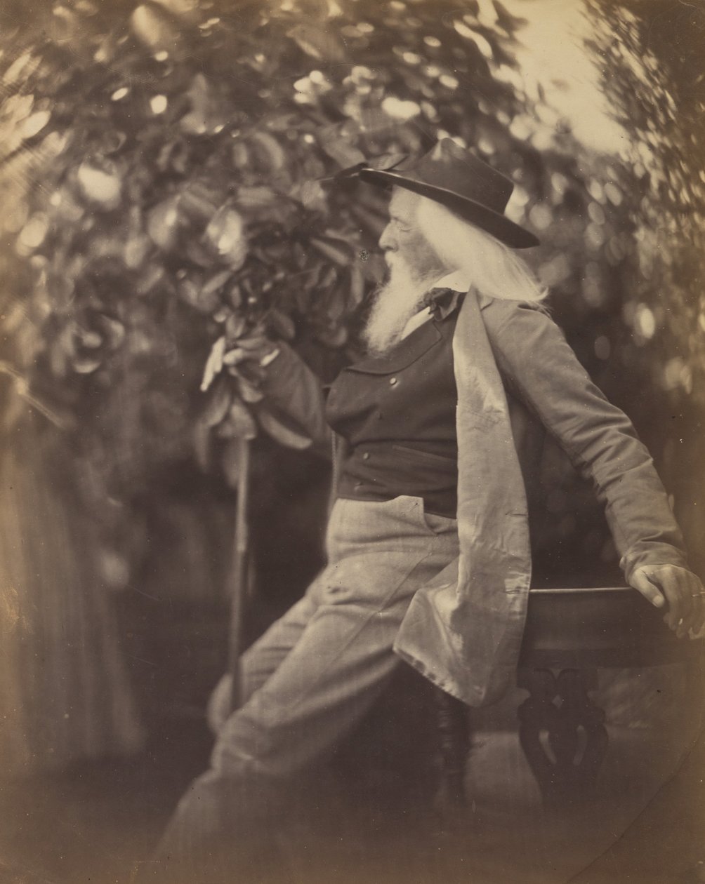 Charles Hay Cameron, Esq., i hagen hans ved Freshwater, 1865-67. av Julia Margaret Cameron