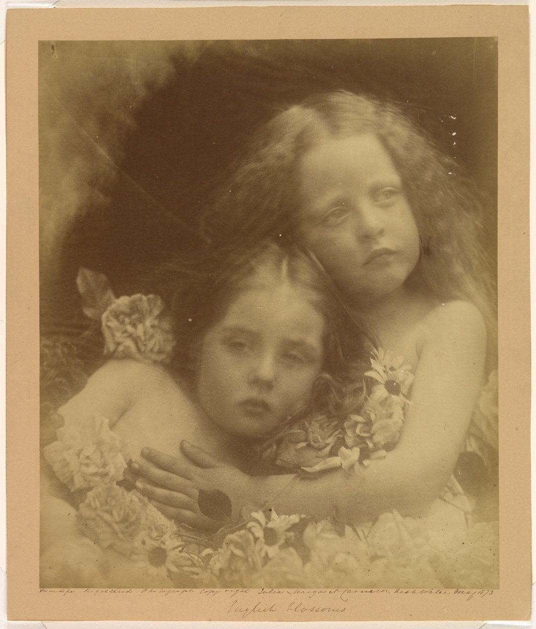 Engelske blomster av Julia Margaret Cameron