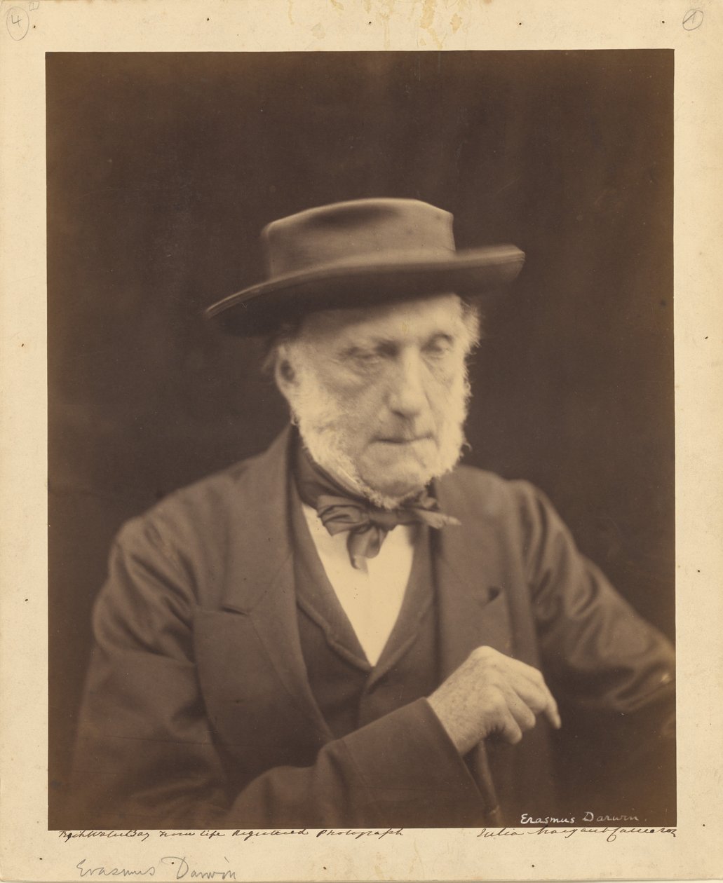 [Erasmus Darwin] av Julia Margaret Cameron