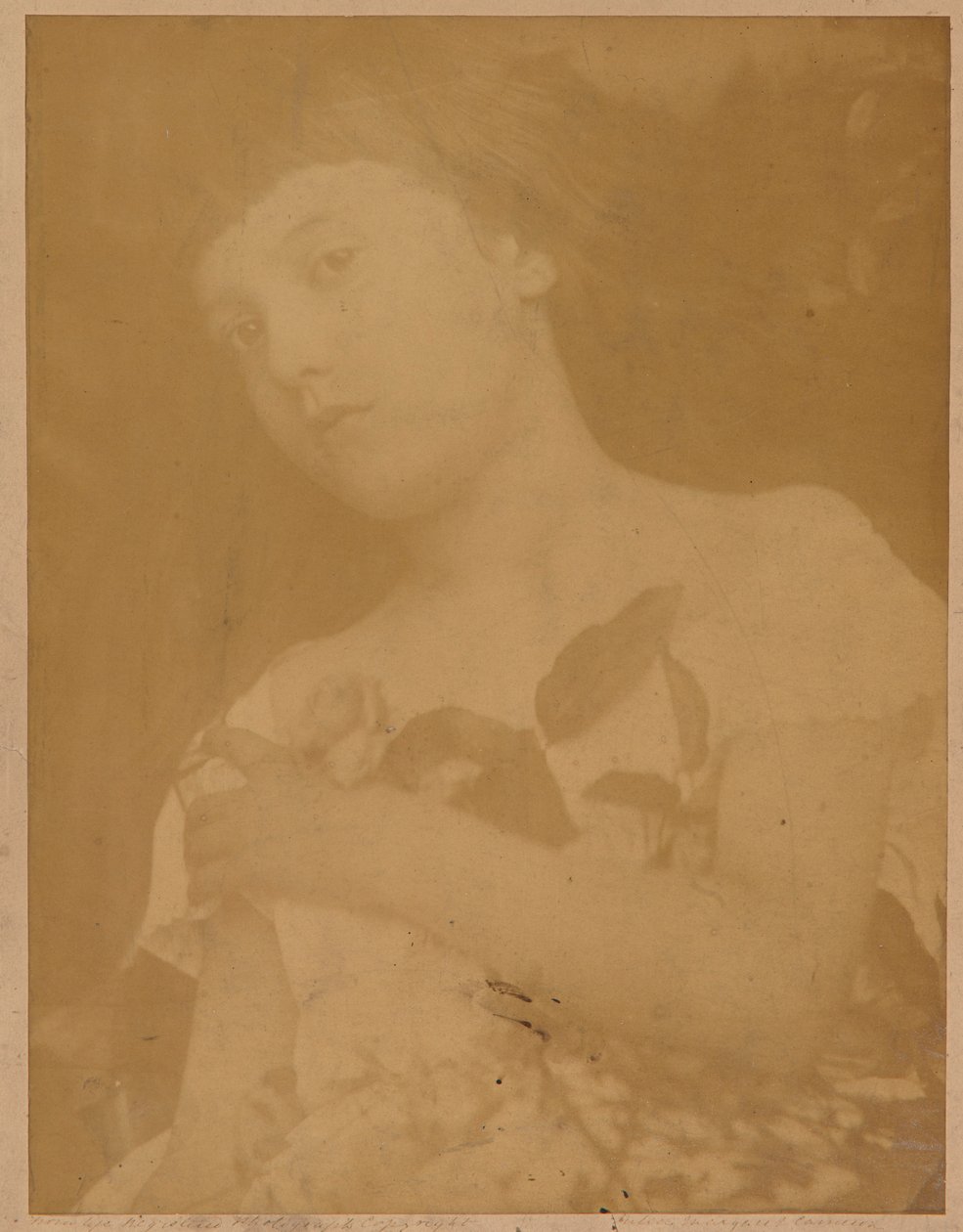 Firenze av Julia Margaret Cameron