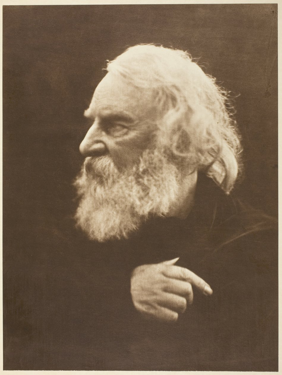 Henry Wadsworth Longfellow av Julia Margaret Cameron