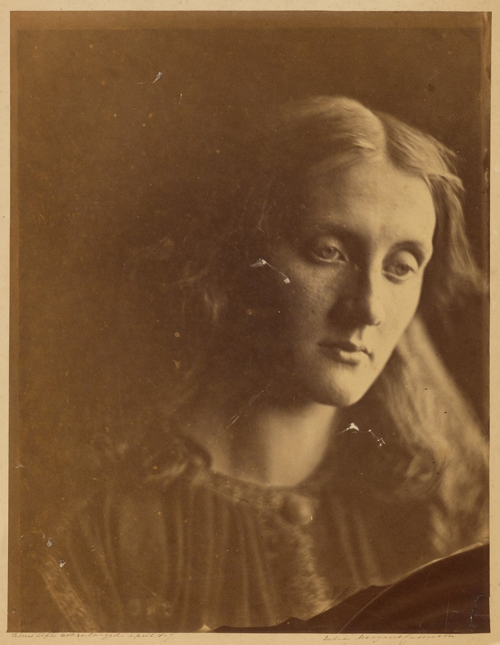  av Julia Margaret Cameron