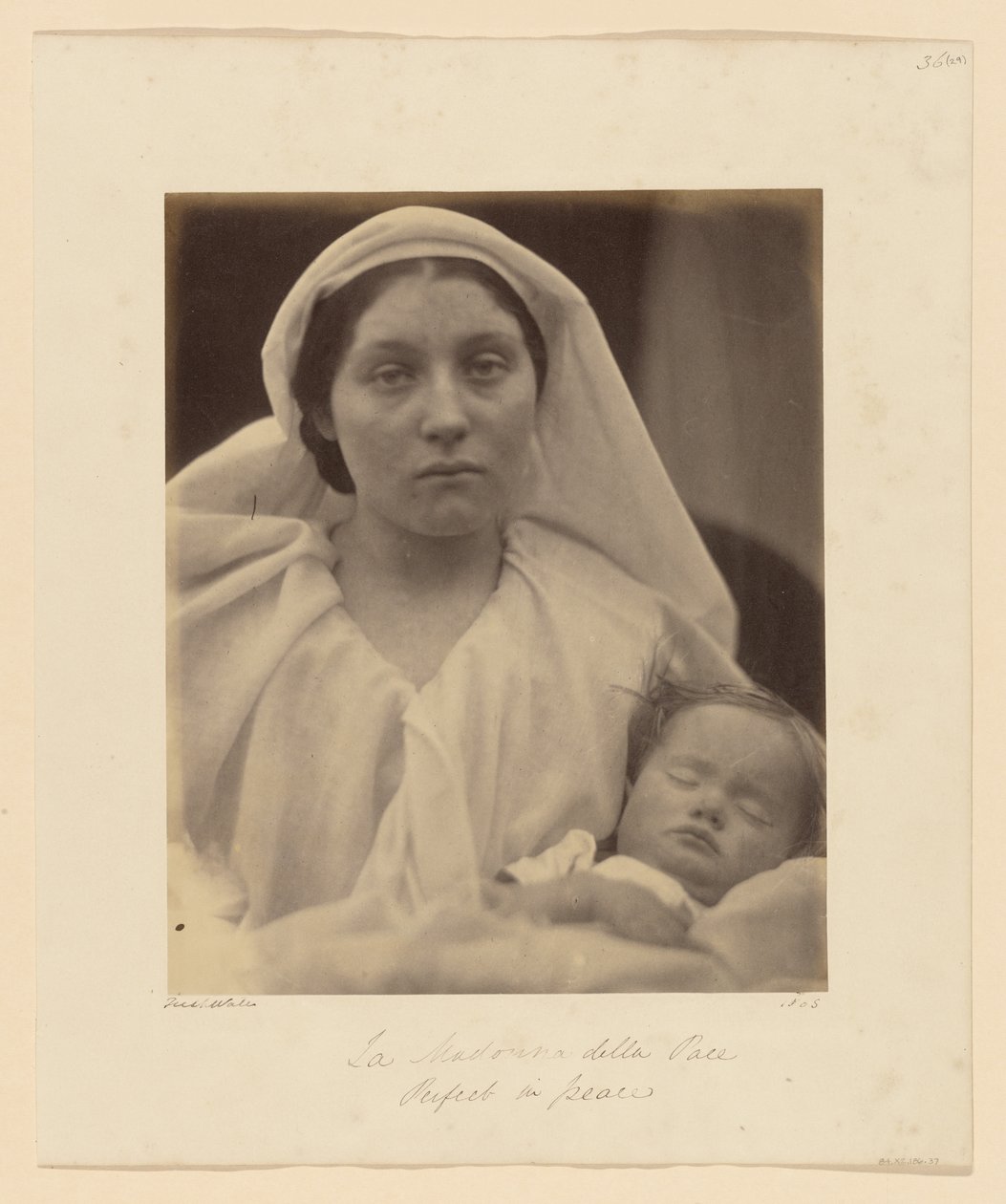  av Julia Margaret Cameron