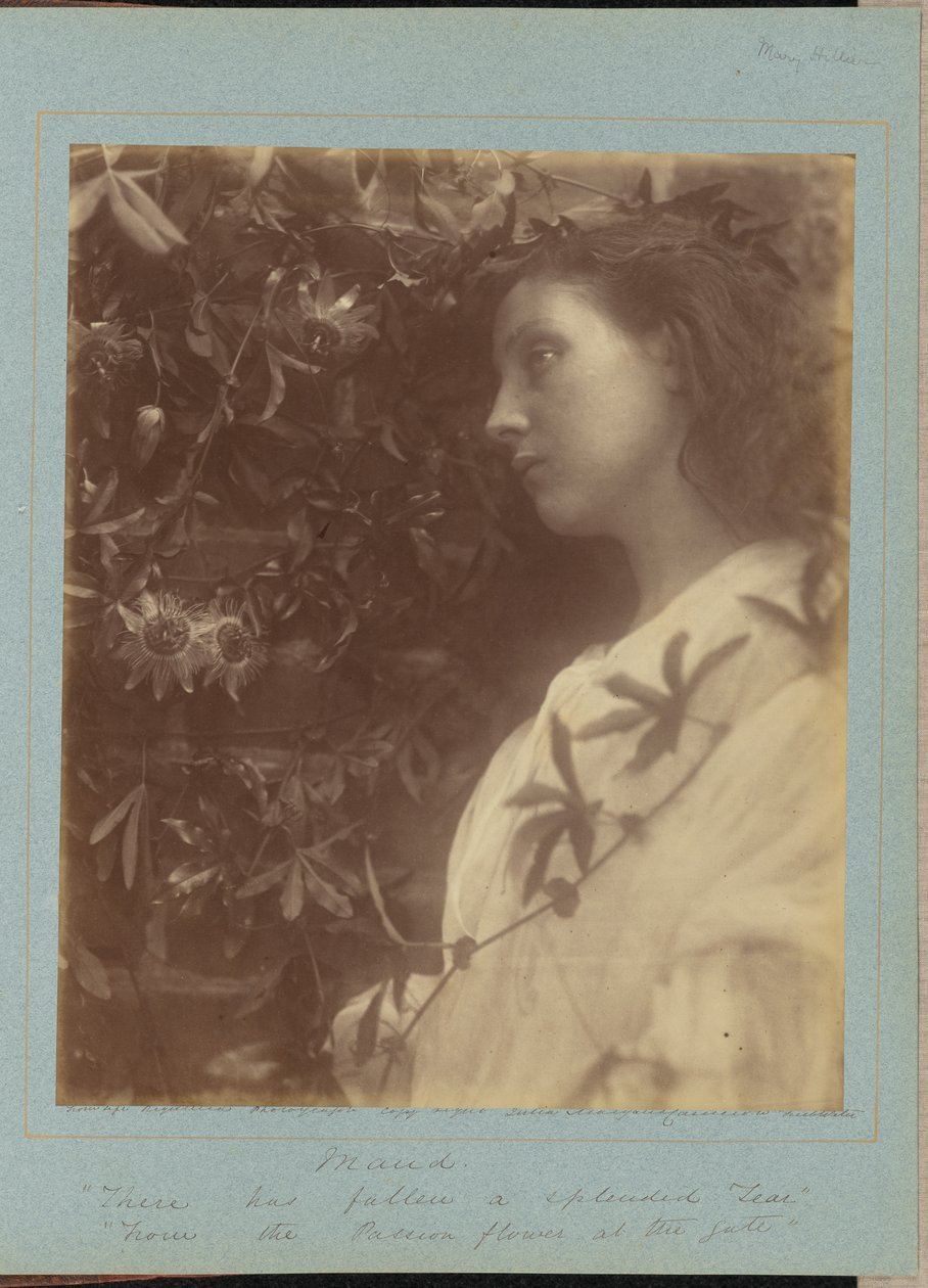  av Julia Margaret Cameron