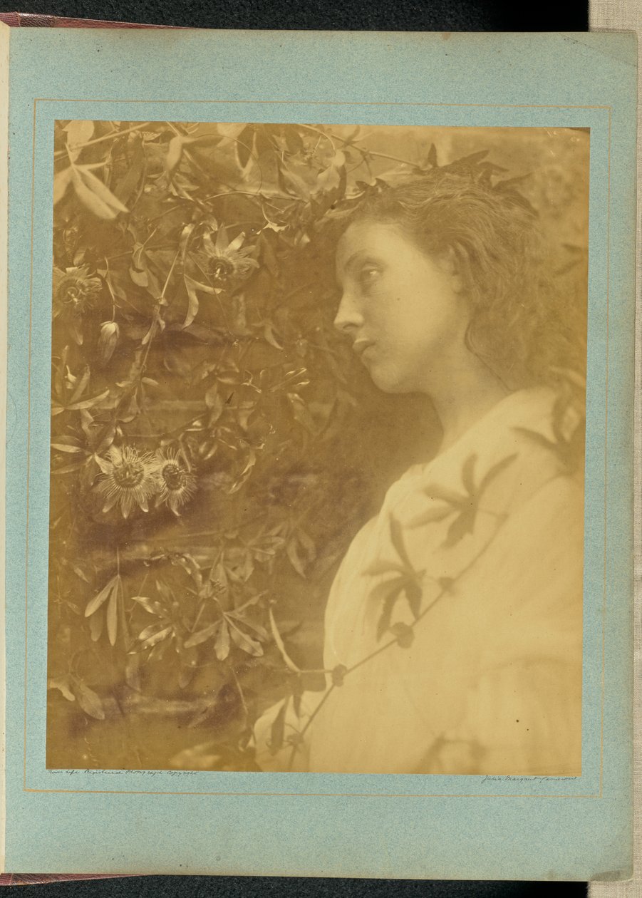 Maud «En strålende tåre har falt» / «Fra pasjonsblomsten ved porten.» av Julia Margaret Cameron