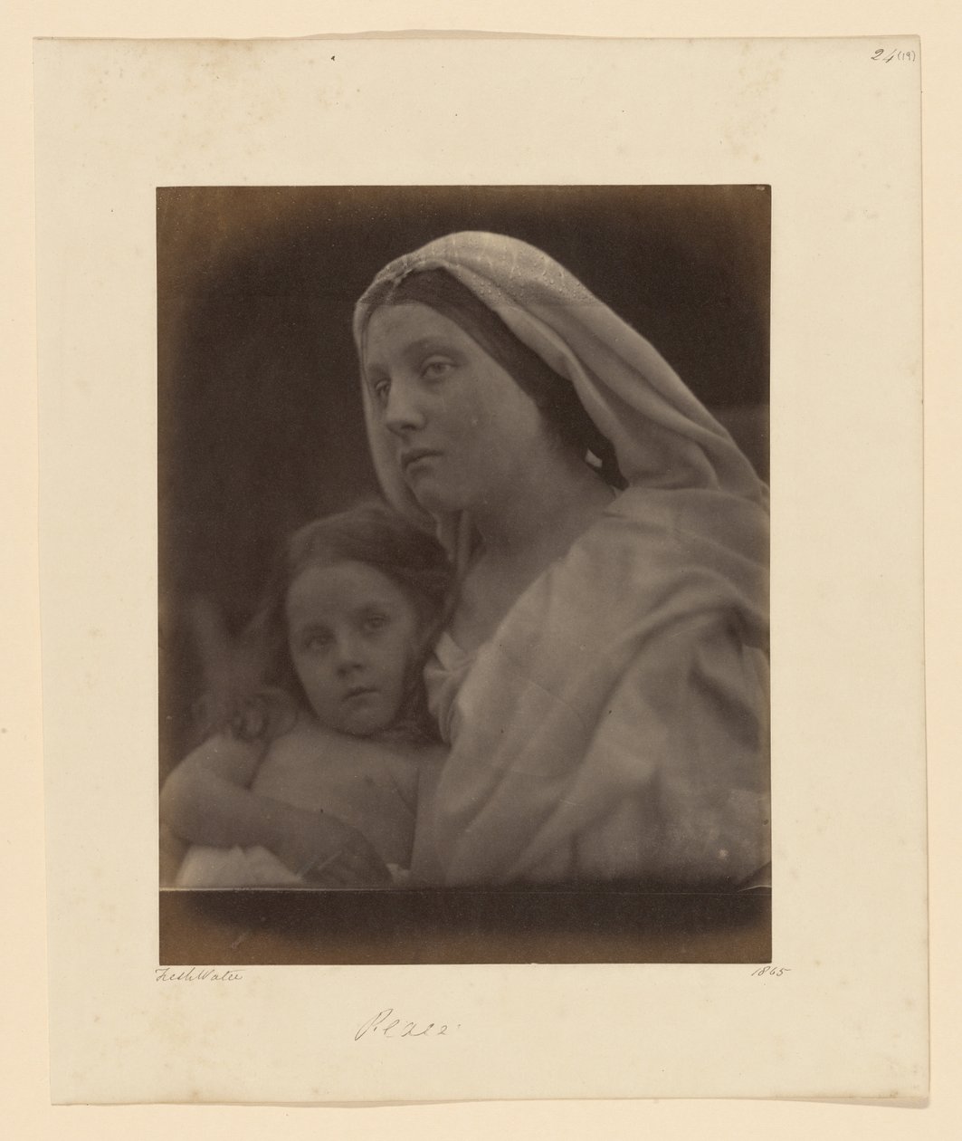 Fred av Julia Margaret Cameron