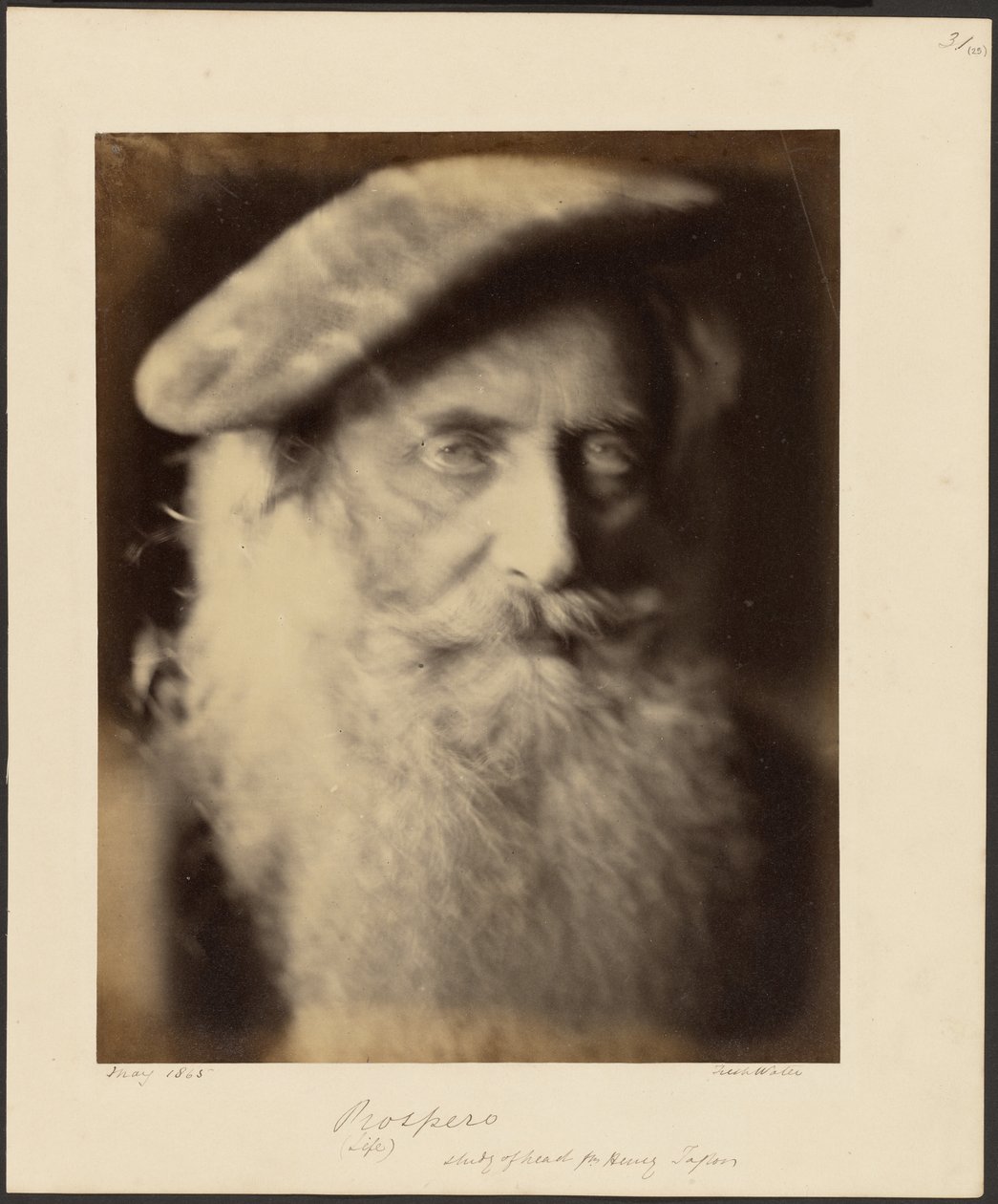 Prospero av Julia Margaret Cameron