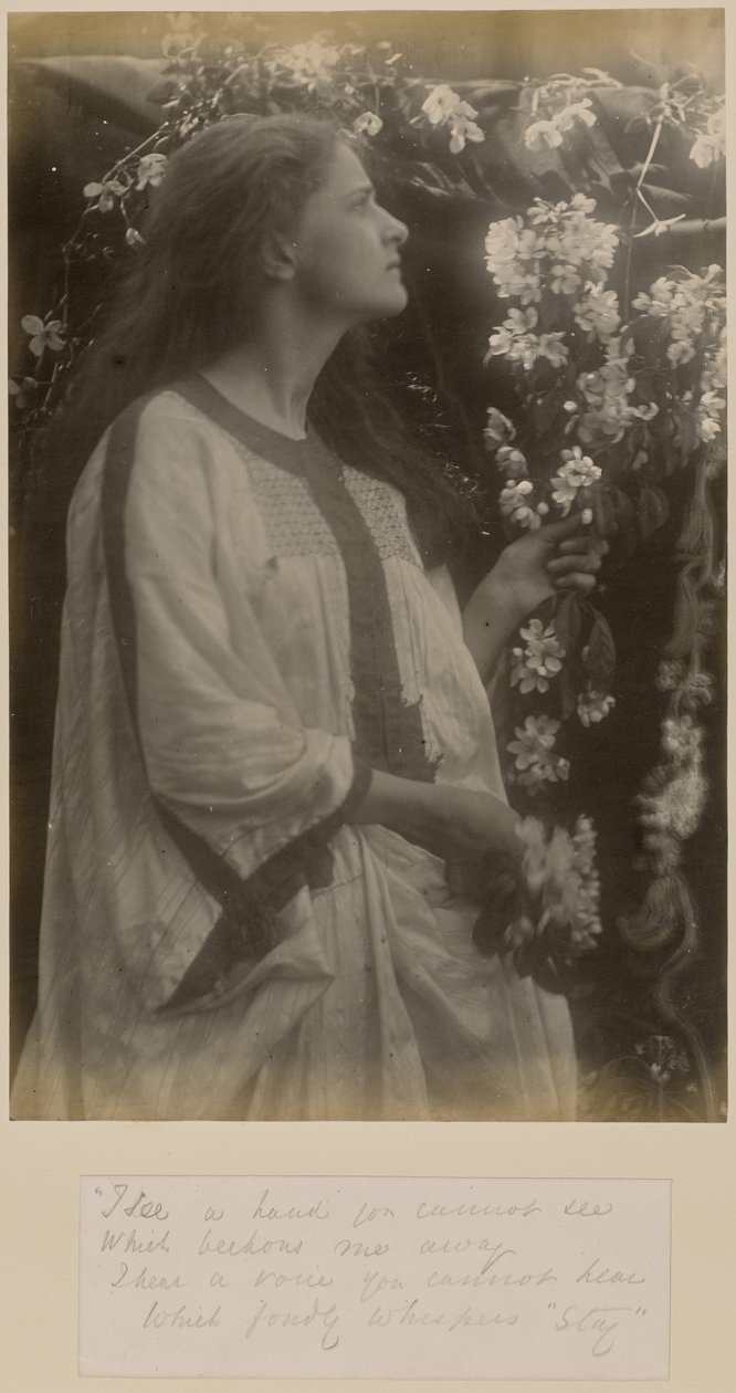  av Julia Margaret Cameron