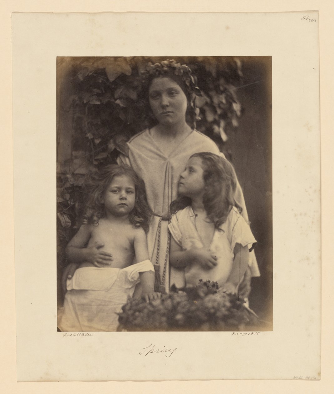 Vår av Julia Margaret Cameron