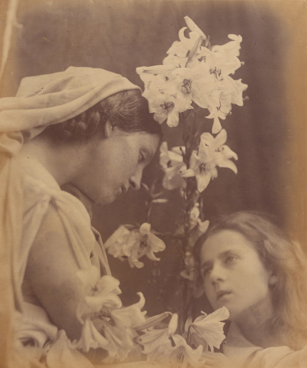 Nattverden av Julia Margaret Cameron