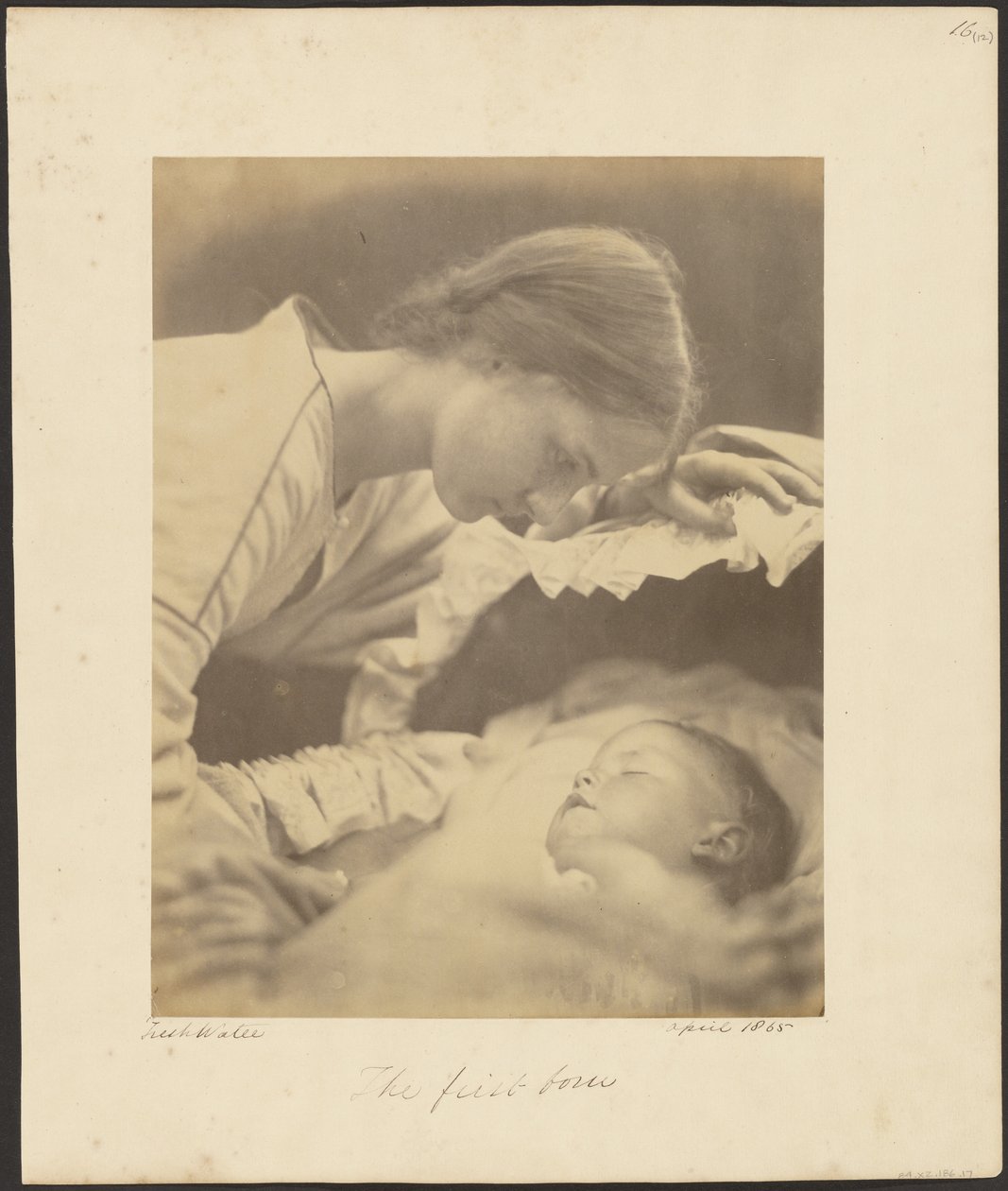 Den førstefødte av Julia Margaret Cameron