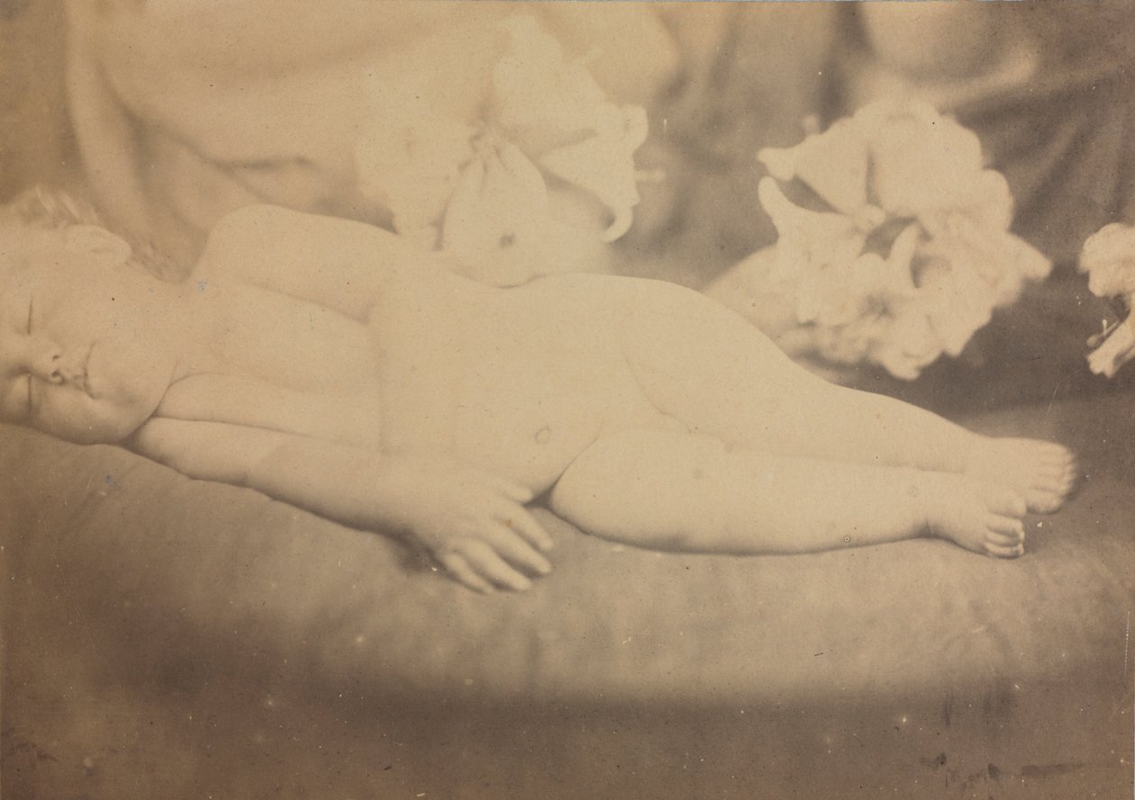 Liljen og Lammet, ca. 1865. av Julia Margaret Cameron