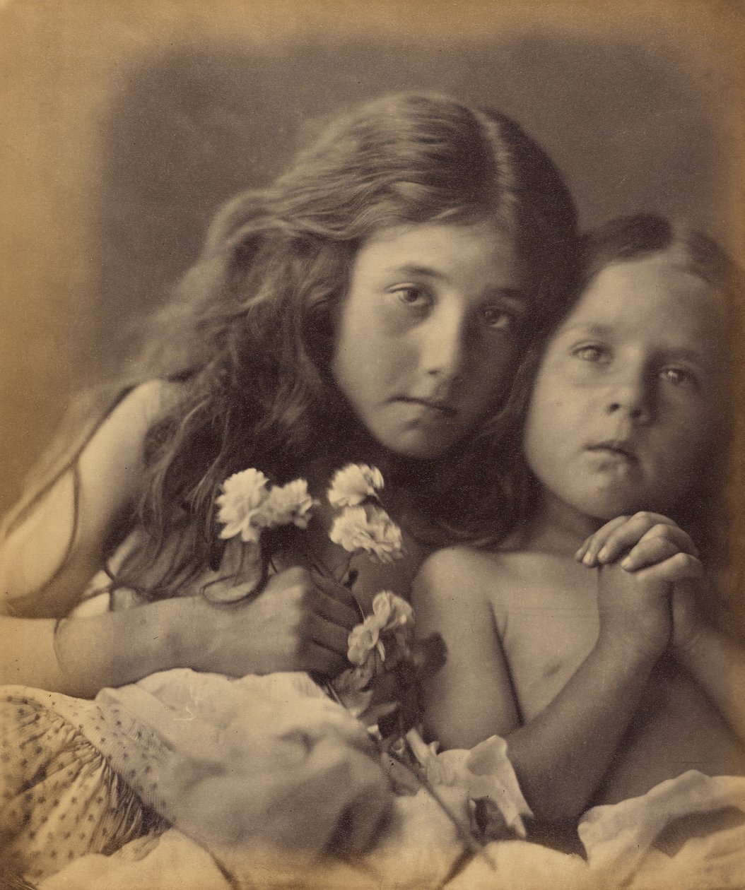 De røde og hvite rosene av Julia Margaret Cameron