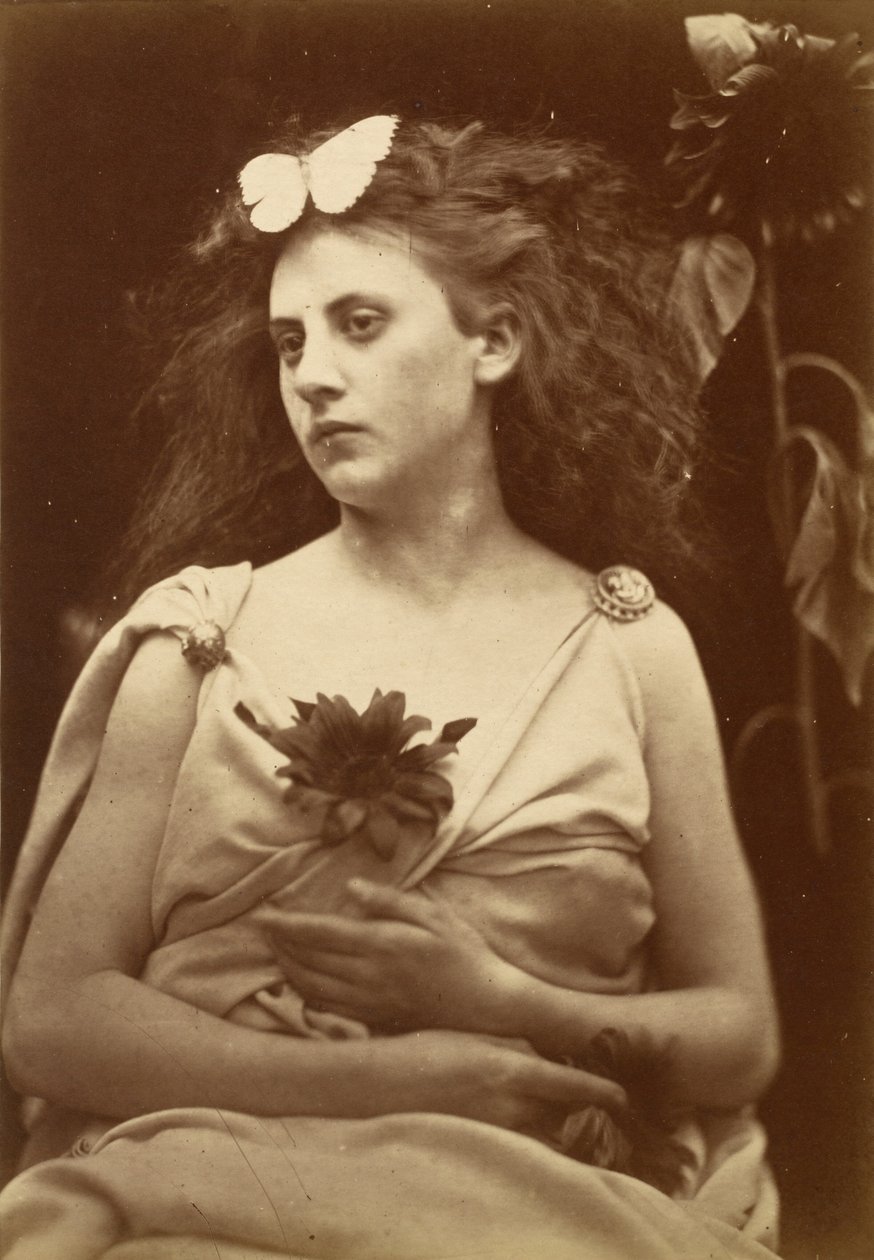 Solsikken av Julia Margaret Cameron