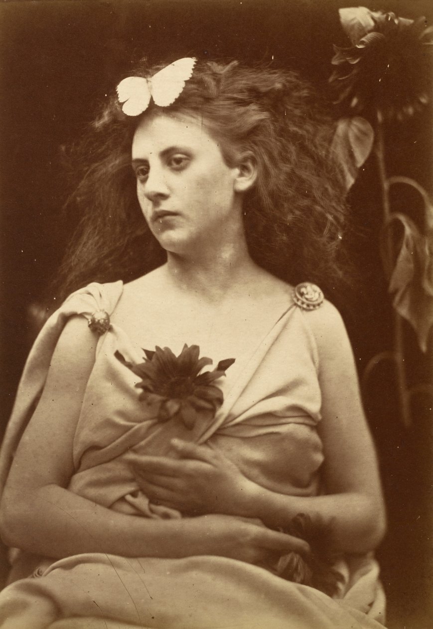 The Sunflower, tidlig på 1870-tallet. av Julia Margaret Cameron