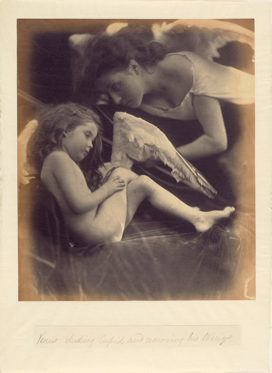  av Julia Margaret Cameron