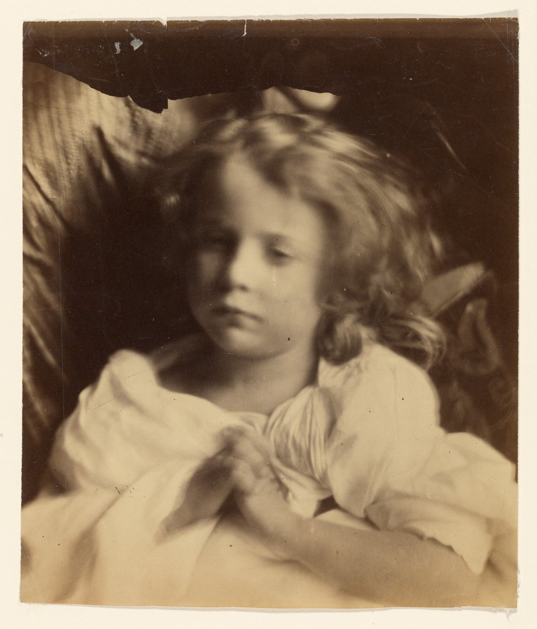 Willin av Julia Margaret Cameron