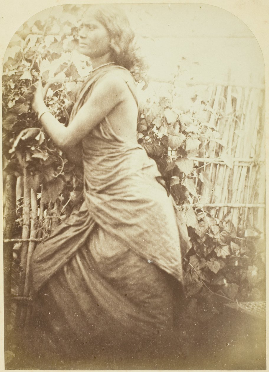 Kvinne, Ceylon av Julia Margaret Cameron