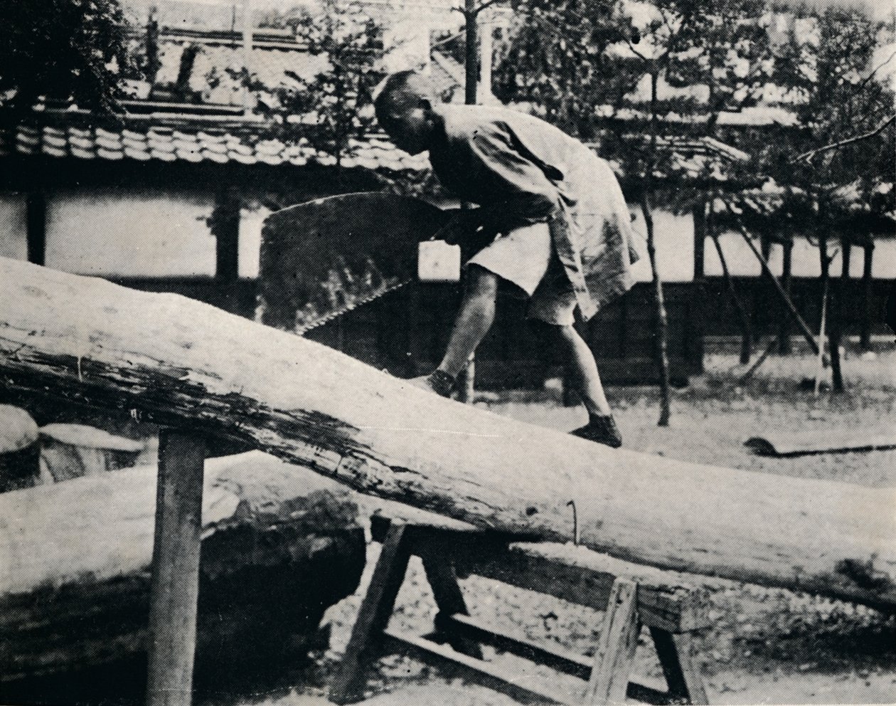 Saging og høvling utføres med en trekking i stedet for en drivende bevegelse, c1900, 1921 av Julian Leonard Street