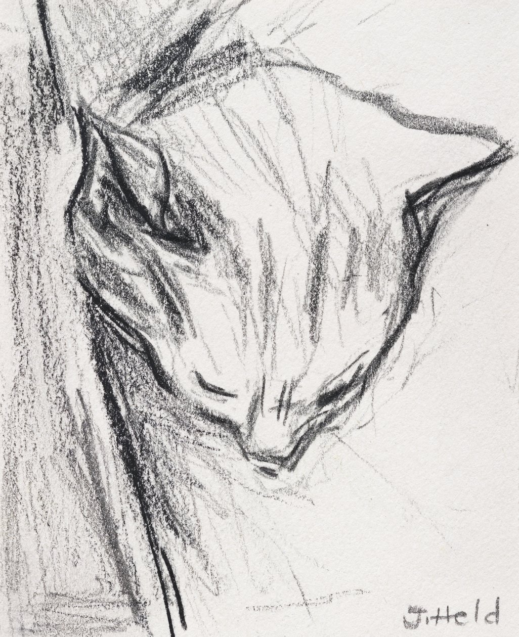 Sovende katt, 2015, (blyant) av Julie Held