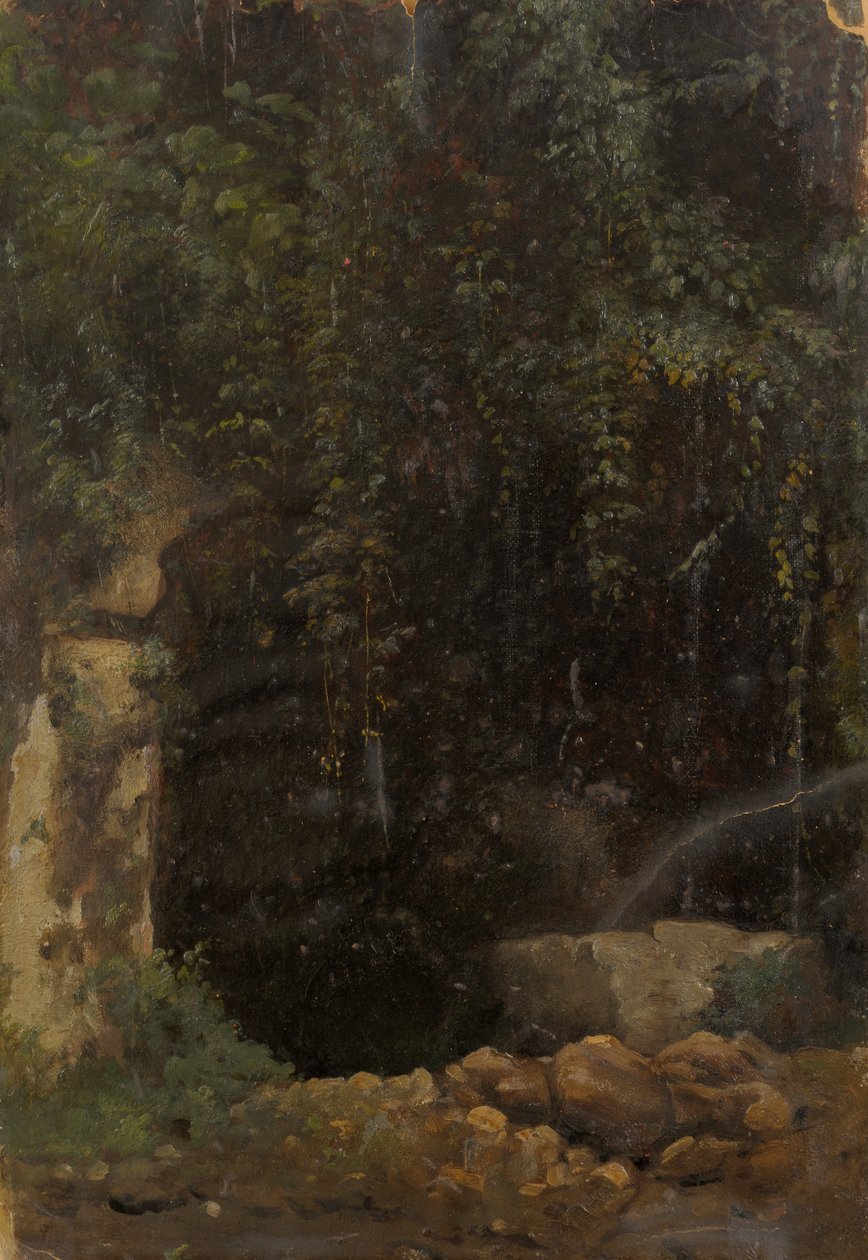  av Julie Wilhelmine Hagen Schwarz