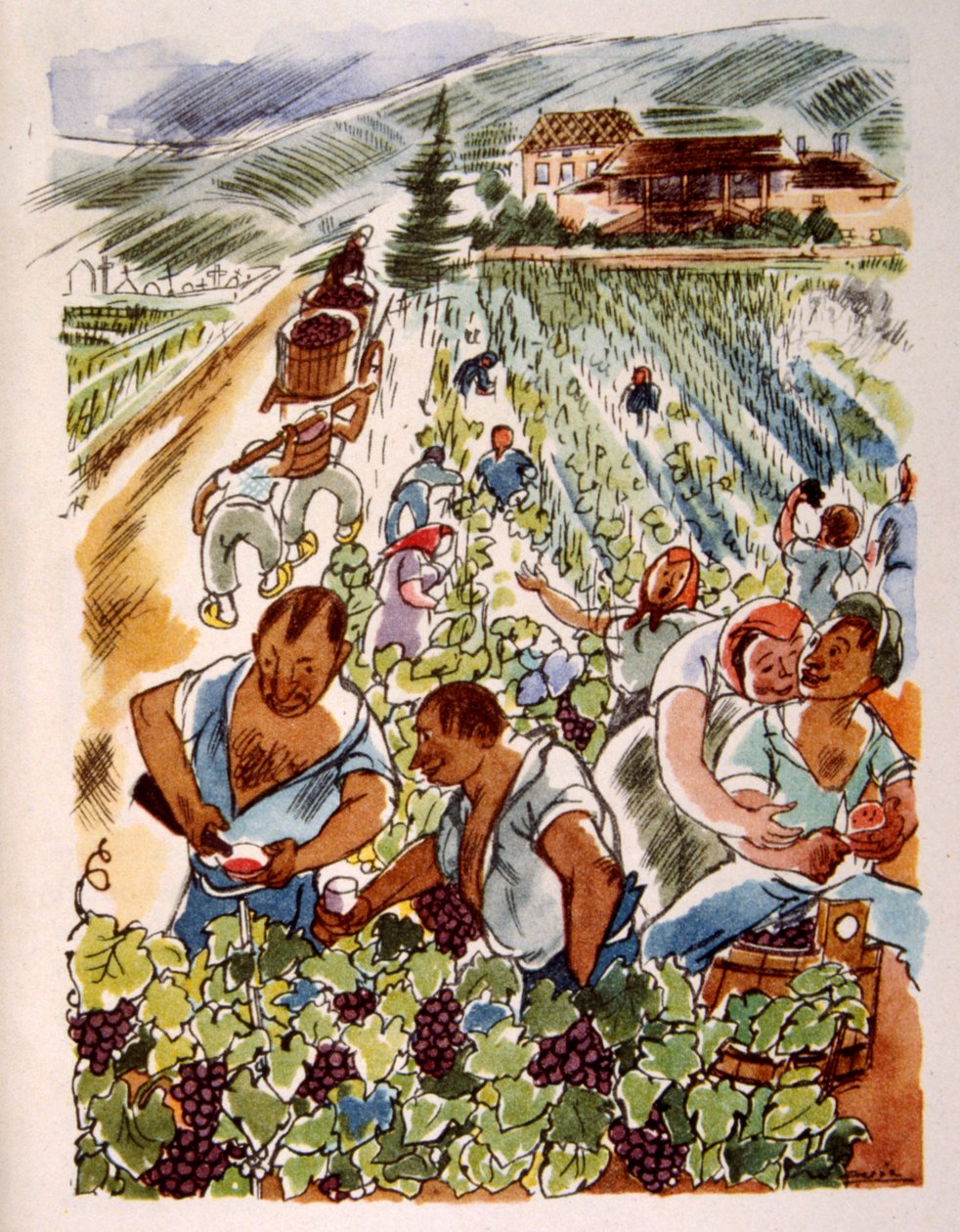 Fransk vingård. 1944. Illustrasjon av Julien Pavil av Julien Pavil