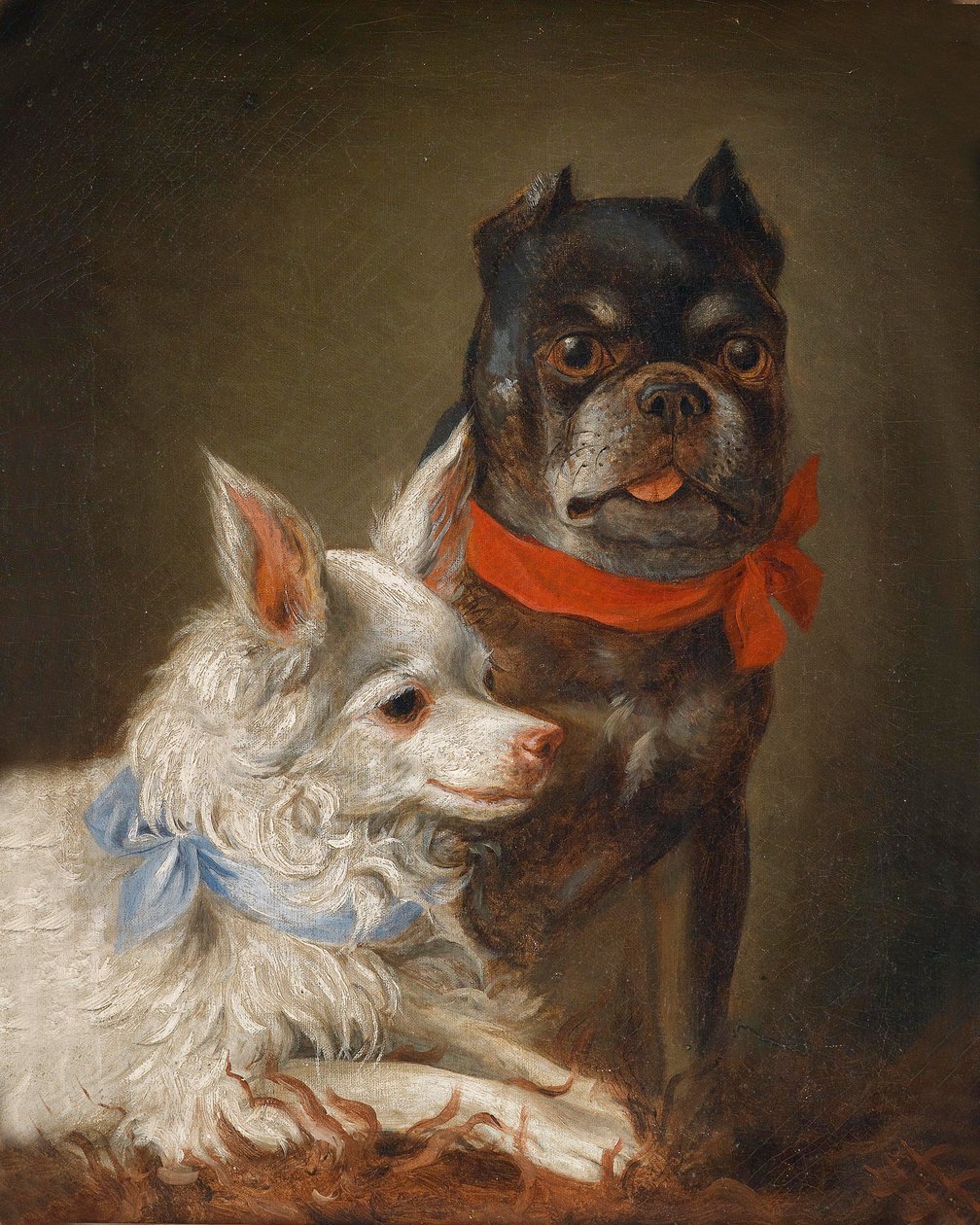 Hundeportrait av Julius Hamburger