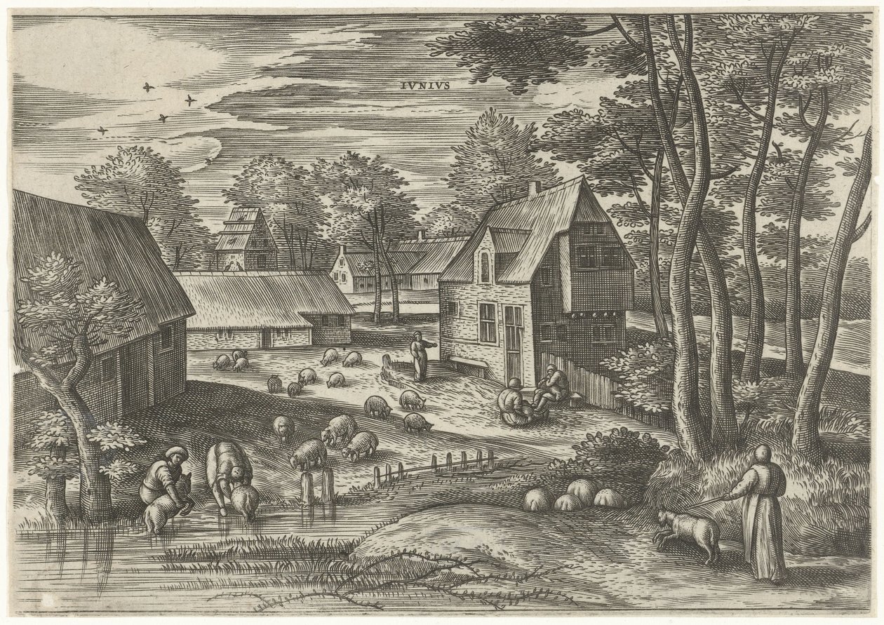 juni Ivnivs (tittel på objekt) De tolv månedene (serietittel) av Julius Goltzius