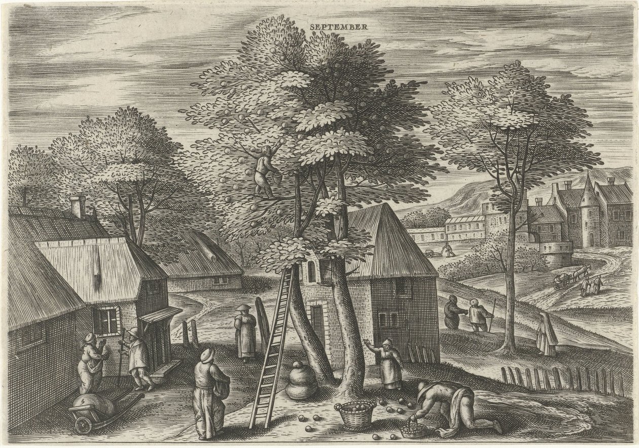 september (tittel på objekt) De tolv månedene (serietittel) av Julius Goltzius